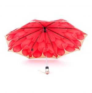 Зонт Pasotti T2525 
